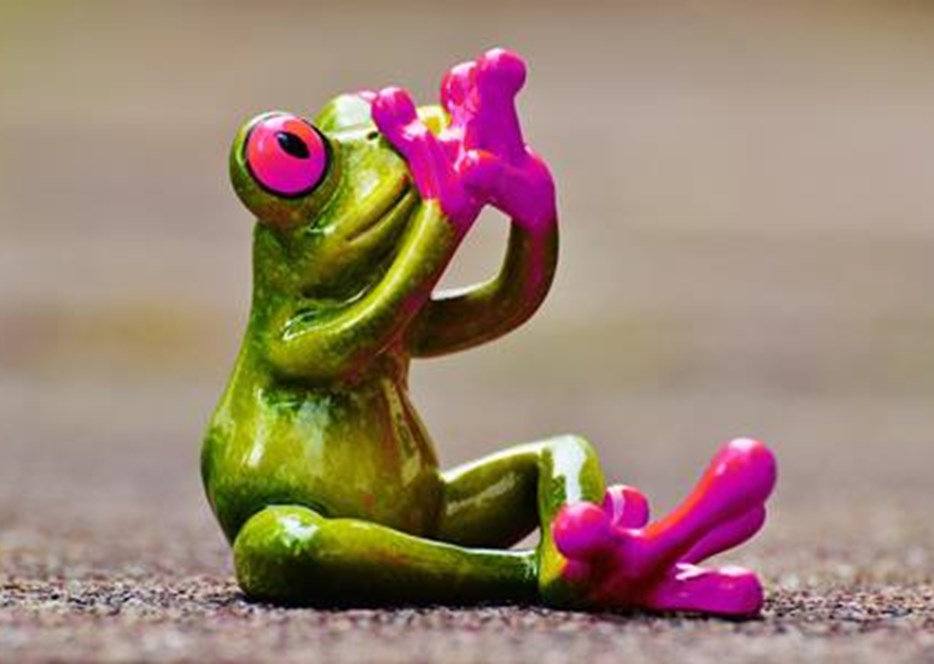 frog-1274753-pink.jpeg