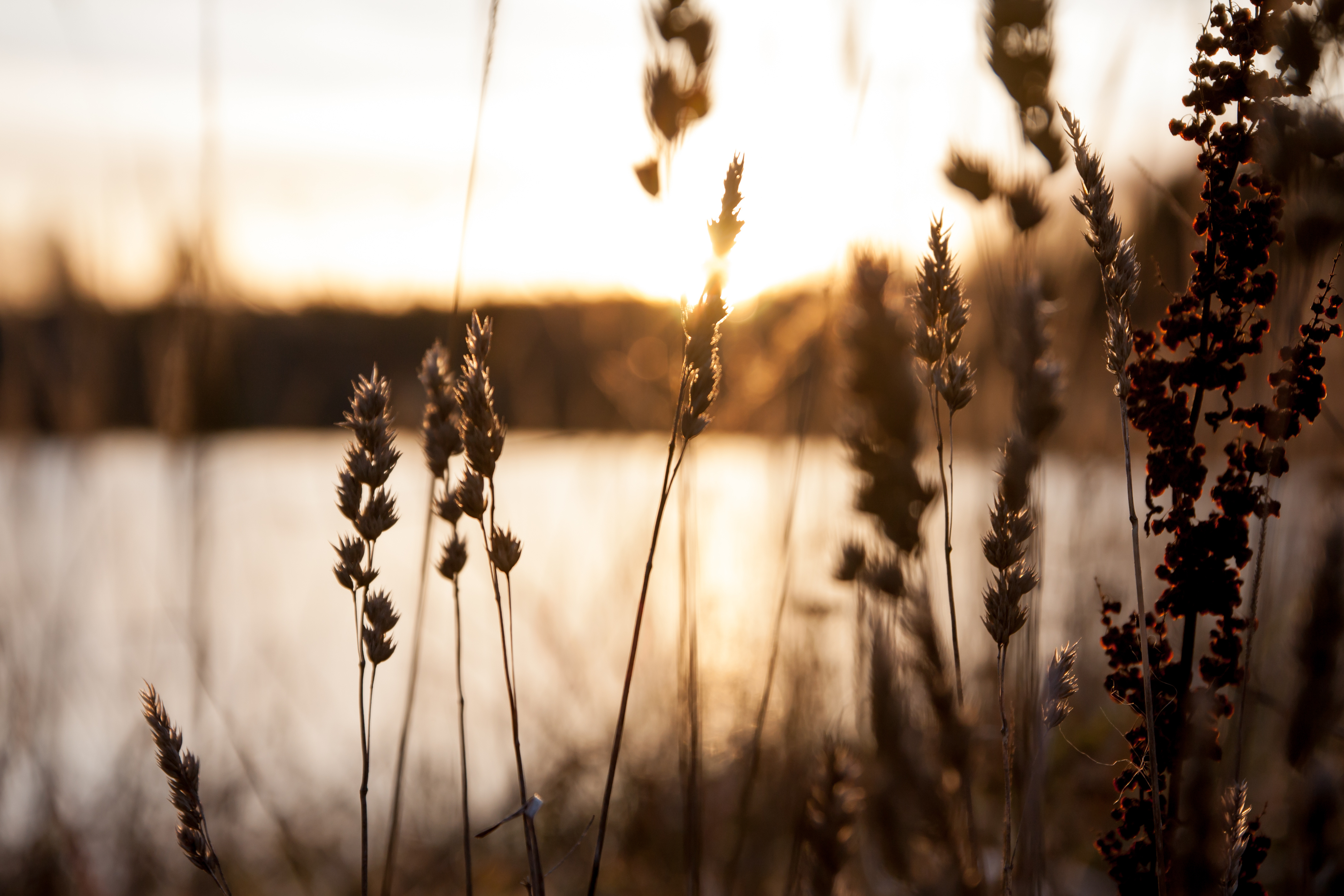 Adobestock 247957165