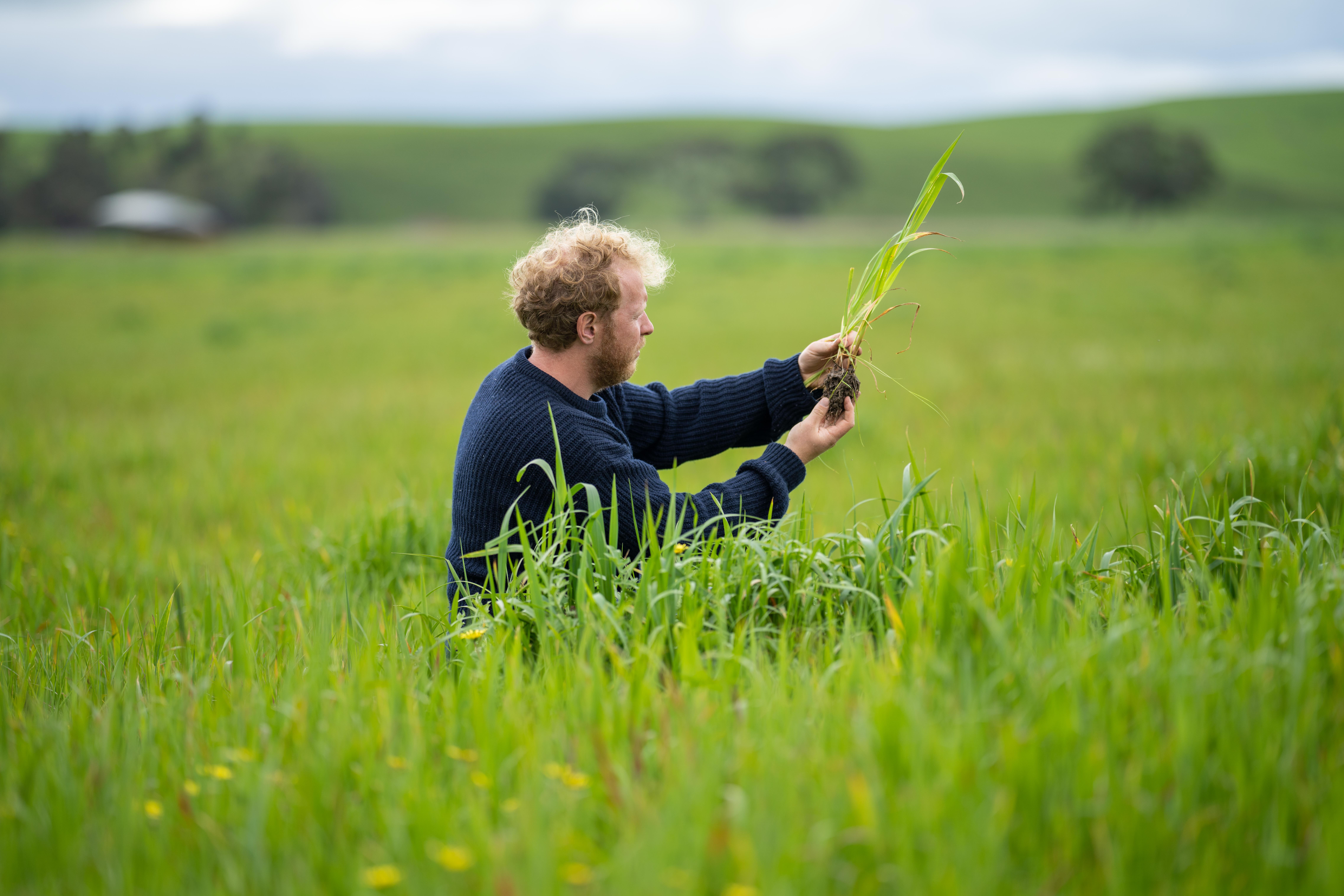 Adobestock 541821494